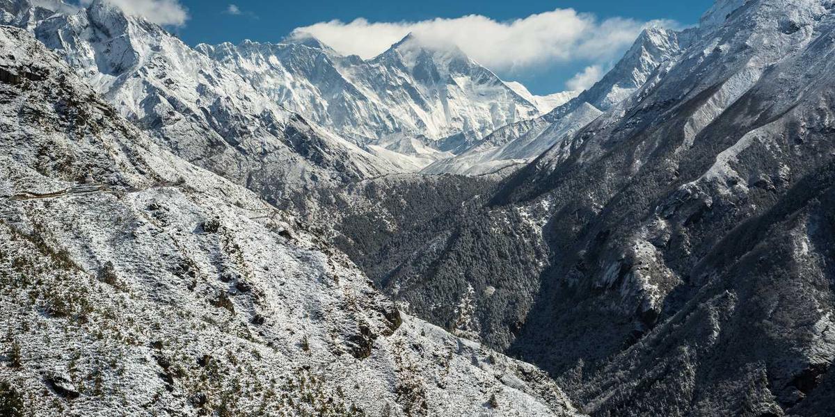 LIMS系统在环境监测中的应用